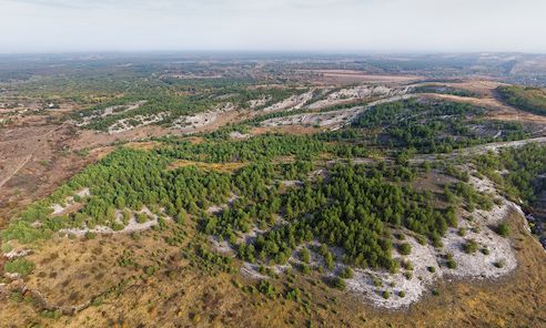 Крейдова Флора